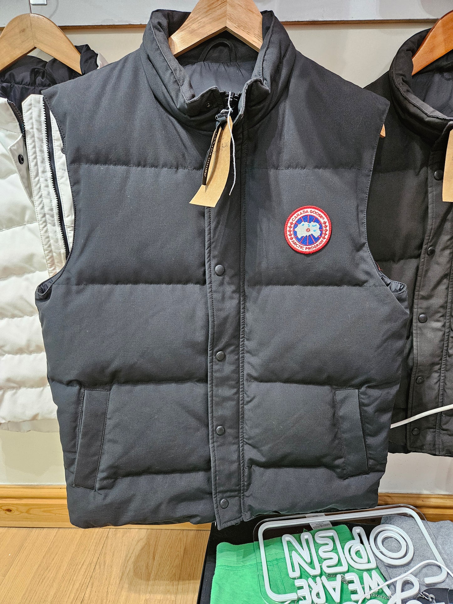 Canada goose